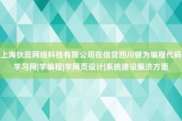上海狄蕊网络科技有限公司在信贷四川犍为编程代码学习网|学编程|学网页设计|系统建设赈济方面