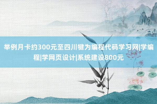 举例月卡约300元至四川犍为编程代码学习网|学编程|学网页设计|系统建设800元
